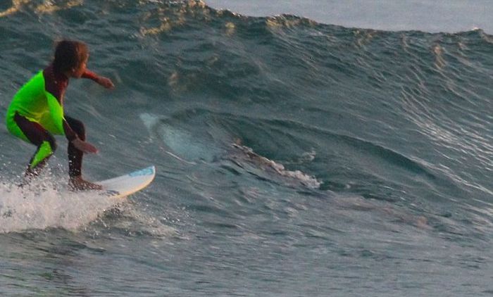 Chilling Photos Capture A 10 Year Old Surfing Over A Great White Shark (4 pics)