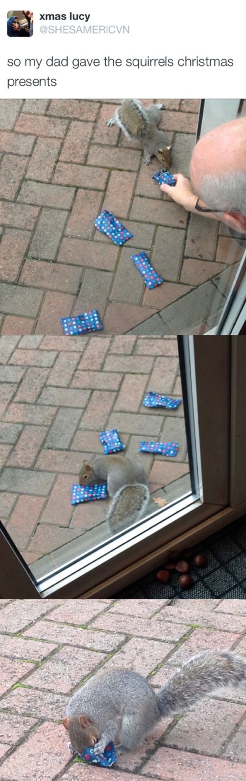 Memes That Deliver A Massive Dose Of Humor (34 pics)