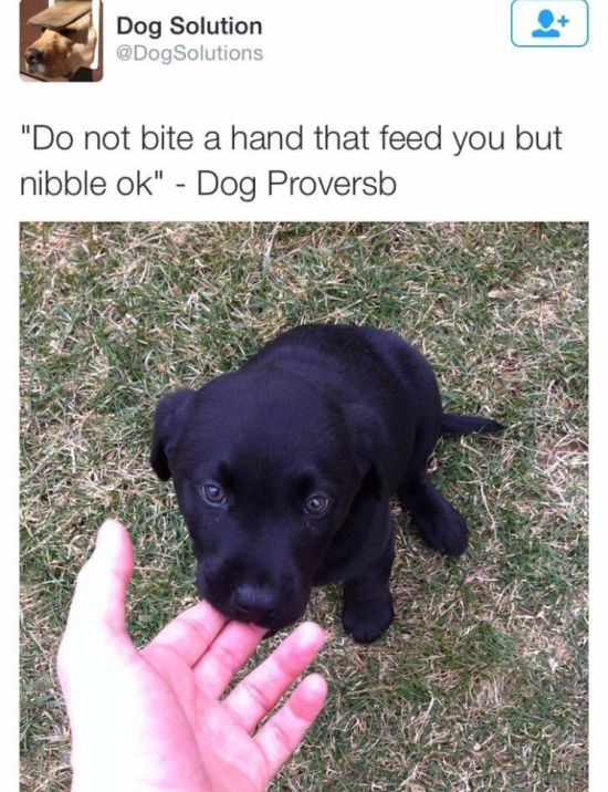 Memes That Deliver A Massive Dose Of Humor (34 pics)