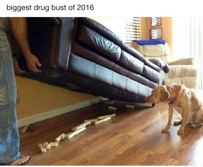 Memes That Deliver A Massive Dose Of Humor (34 pics)