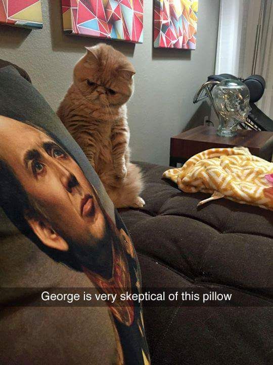 Memes That Deliver A Massive Dose Of Humor (34 pics)