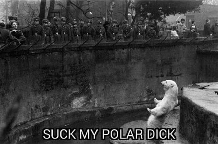 Memes That Deliver A Massive Dose Of Humor (34 pics)