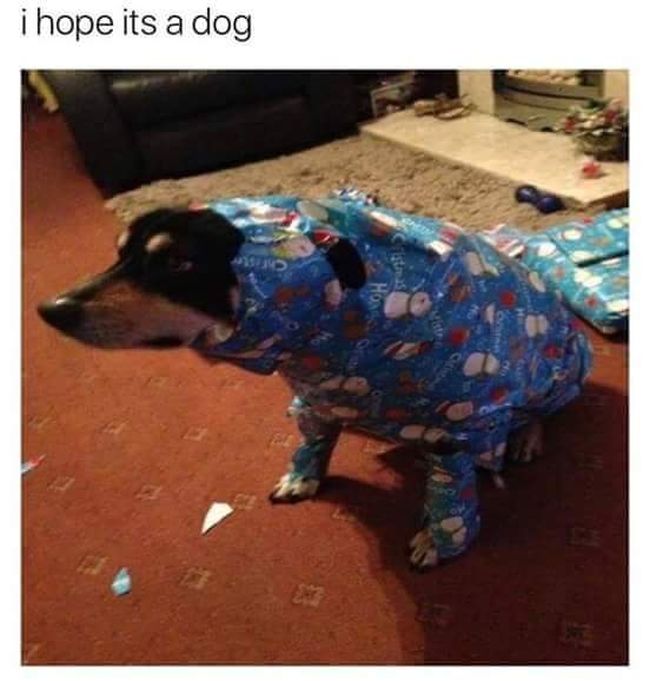 Memes That Deliver A Massive Dose Of Humor (34 pics)