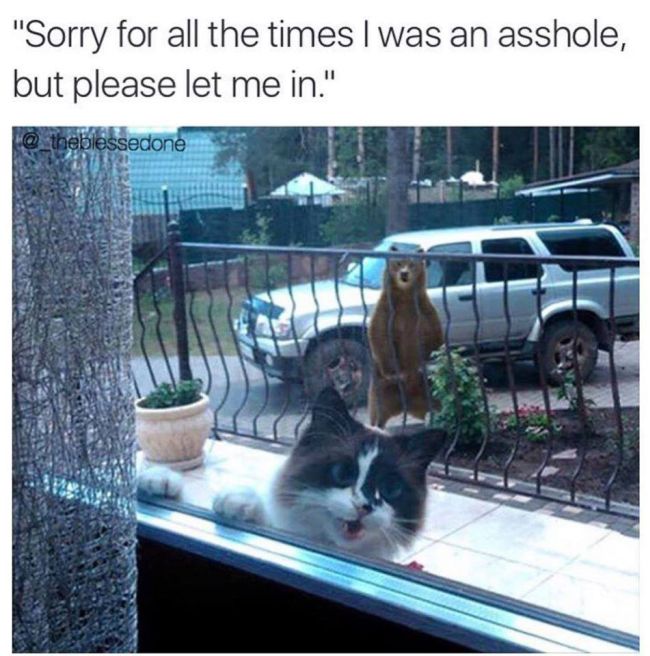 Memes That Deliver A Massive Dose Of Humor (34 pics)