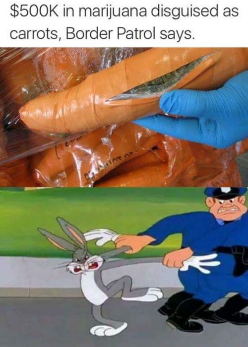 Memes That Deliver A Massive Dose Of Humor (34 pics)