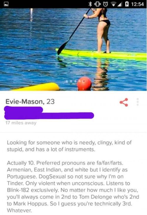 Hilarious Tinder Users Who Have An Awesome Sense Of Humor (20 pics)