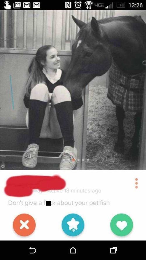 Hilarious Tinder Users Who Have An Awesome Sense Of Humor (20 pics)