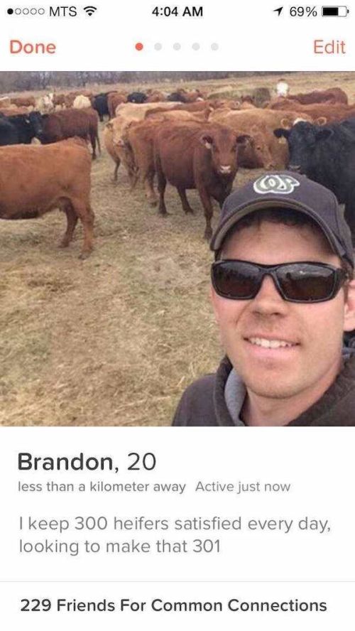 Hilarious Tinder Users Who Have An Awesome Sense Of Humor (20 pics)