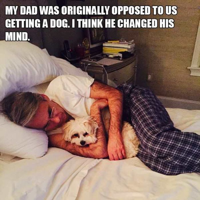 Dads Who Changed After Getting A Dog (12 pics)