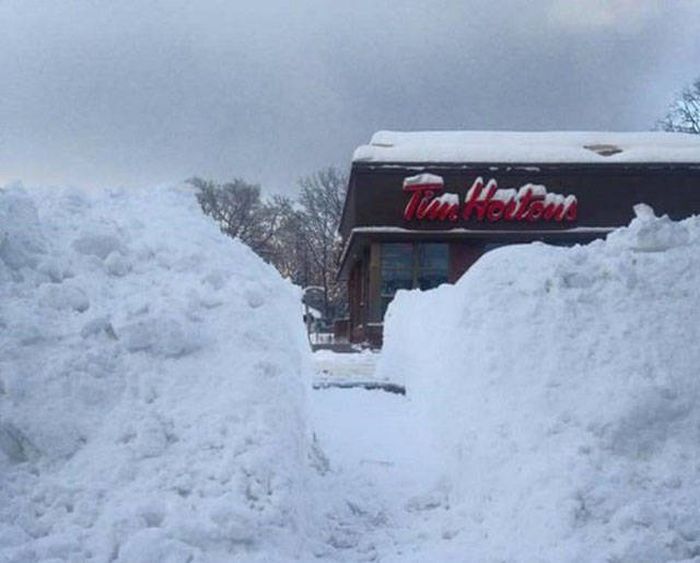 Things That Only Ever Happen In Canada (51 pics)