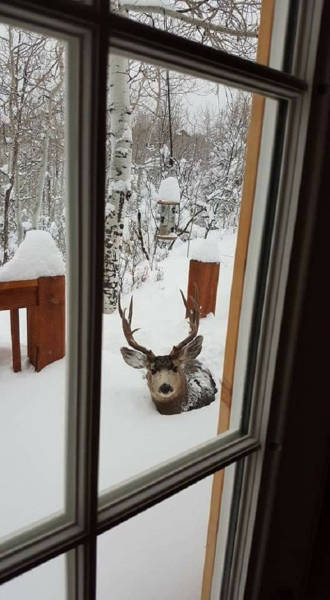 Things That Only Ever Happen In Canada (51 pics)