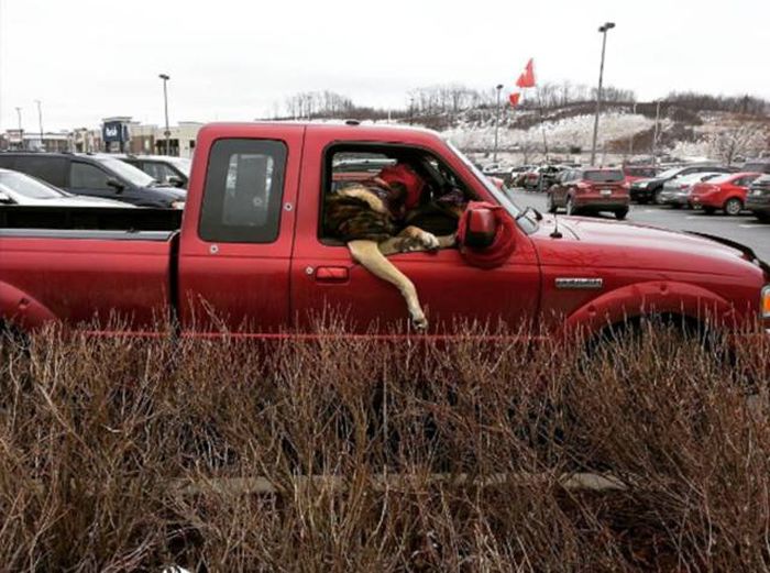 Things That Only Ever Happen In Canada (51 pics)