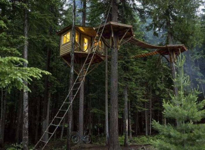 Everything Is So Beautiful When You Live In A Forest (25 pics)