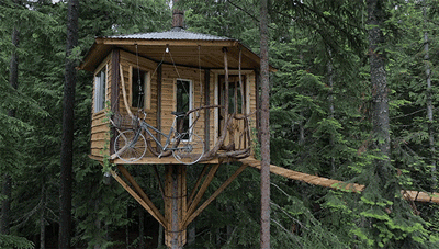 Everything Is So Beautiful When You Live In A Forest (25 pics)