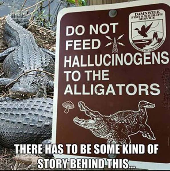 Random Signs That Will Crack You Up And Make You Say WTF (32 pics)