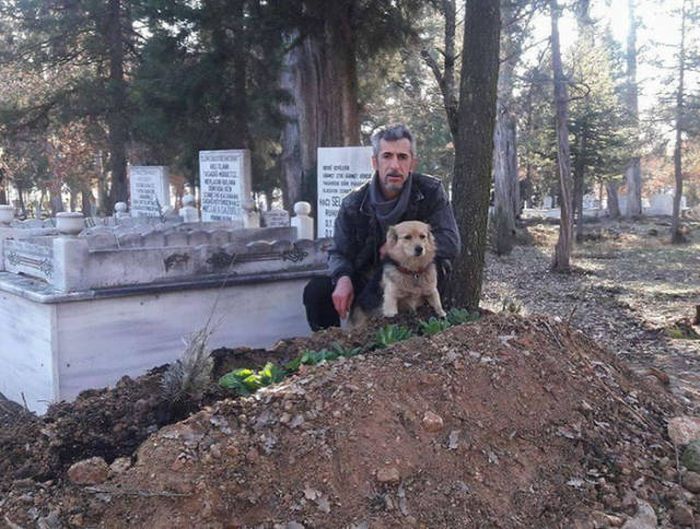 This Dog Truly Is A Symbol Of Eternal Loyalty (8 pics)