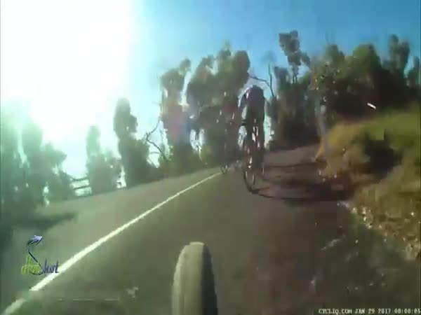 Kangaro Surprises Cyclist Jumping Out And Clipping His Helmet