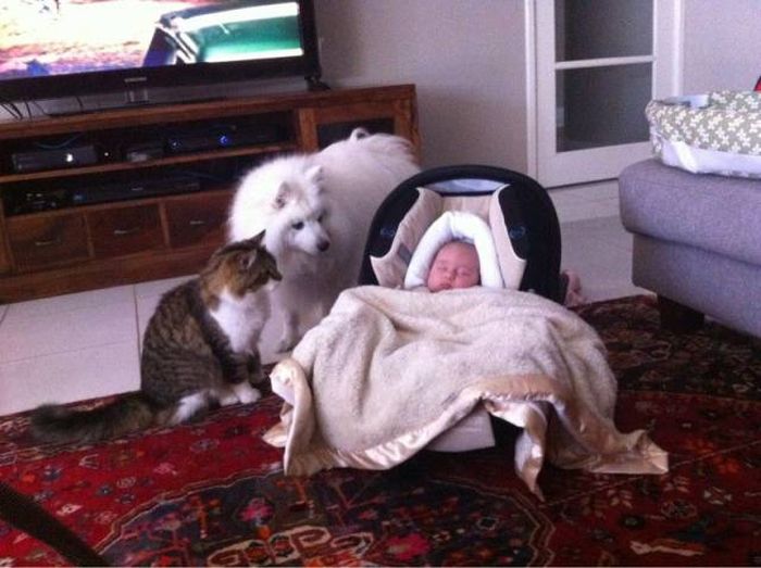 Acid Picdump (92 pics)