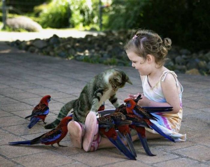 Acid Picdump (92 pics)