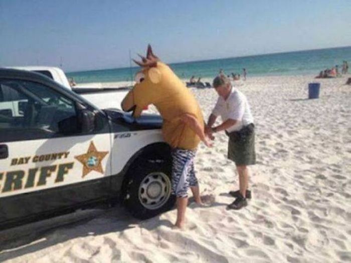 Acid Picdump (92 pics)