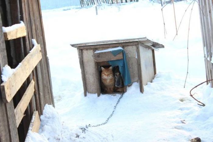 Acid Picdump (92 pics)