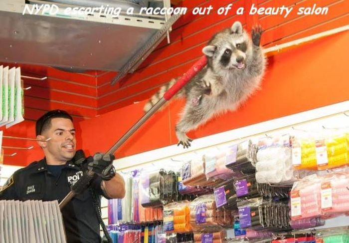 Acid Picdump (92 pics)