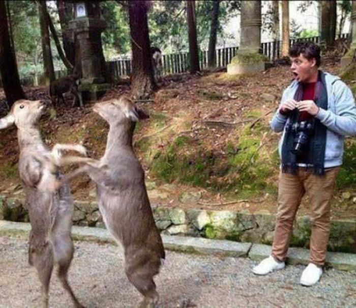 Acid Picdump (92 pics)