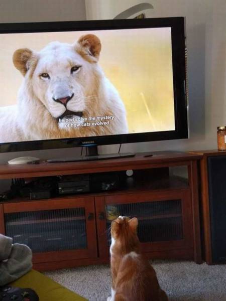 Acid Picdump (92 pics)
