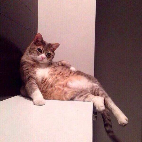 Acid Picdump (92 pics)
