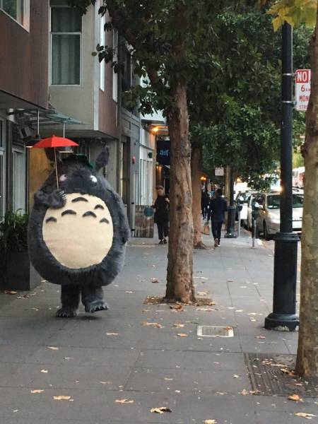 Acid Picdump (92 pics)