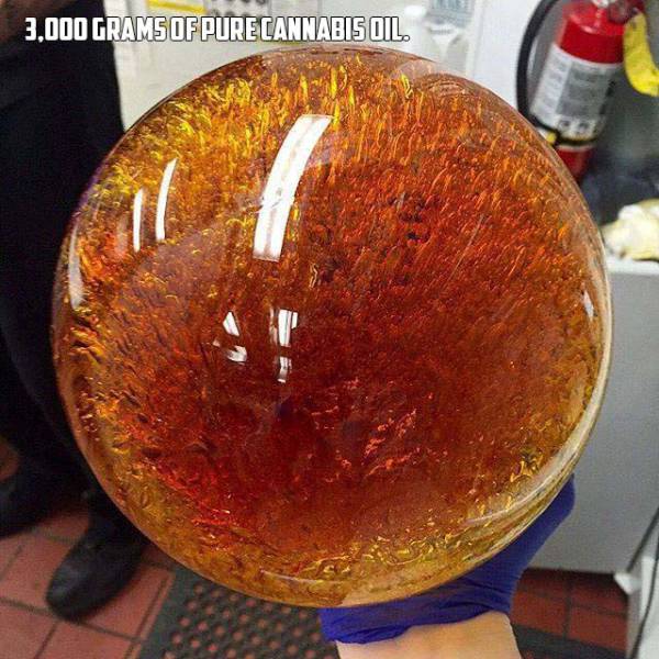 Acid Picdump (92 pics)