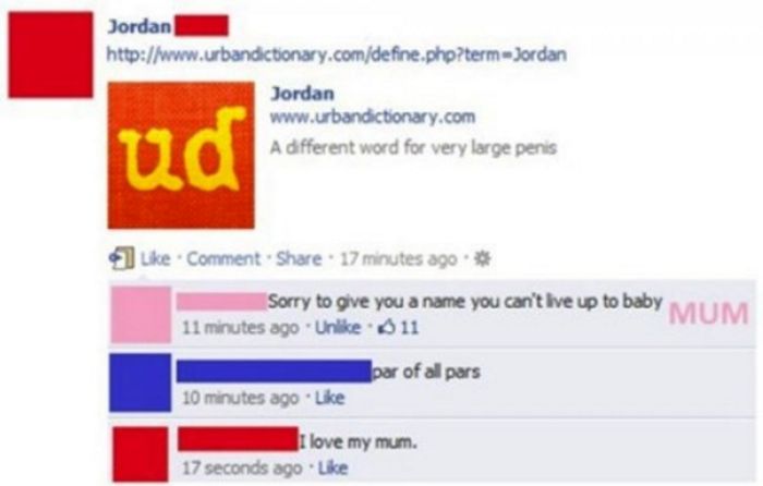 Facebook Users Who Walked Right Into A Brutal Burn (15 pics)