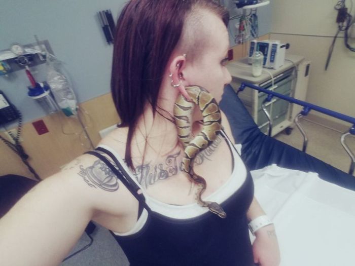 Snake Gets Stuck In Woman's Ear Hole (2 pics)