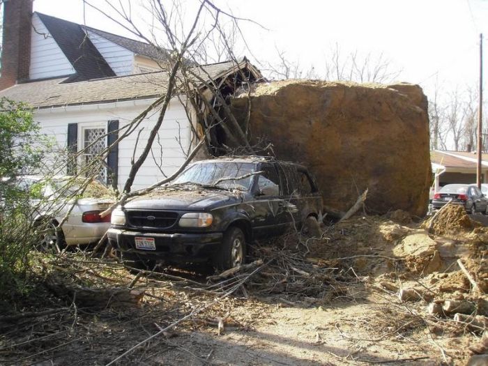 These People Definitely Have Good Luck (11 pics)