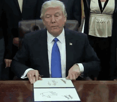The Internet Is Having A Field Day With Donald Trump's Executive Orders (10 pics)