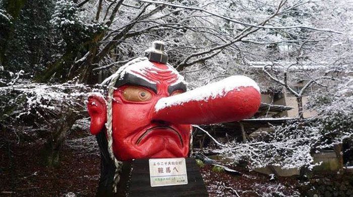 Japanese Tengu Gets Fixed With A Bandaid (3 pics)