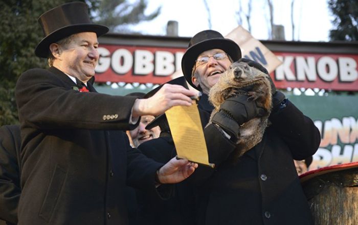 America's Chief Meteorologist Appears On Groundhog's Day (8 pics)