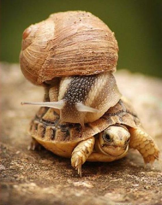 When Laziness Boldly Goes Where It Has Not Gone Before (40 pics)