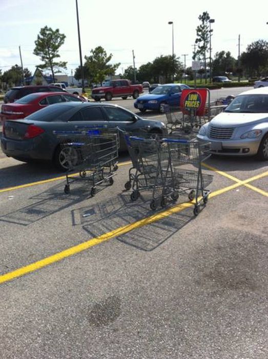When Laziness Boldly Goes Where It Has Not Gone Before (40 pics)