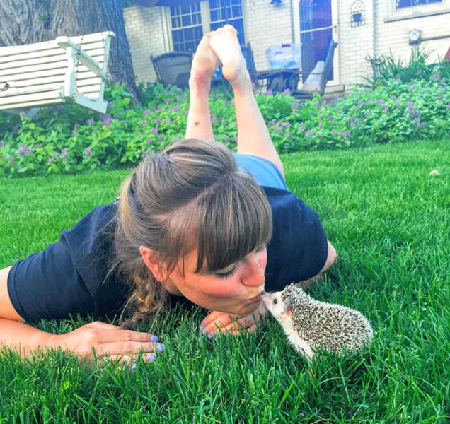 Hedgehogs Don't Get Enough Credit For Their Cuteness (39 pics)