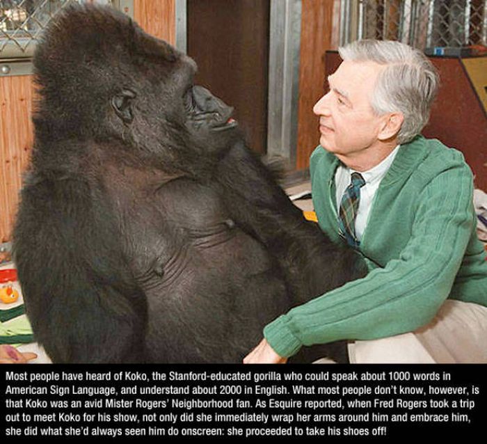 Mister Rogers Was One Of The Greatest People To Ever Exist (14 pics)