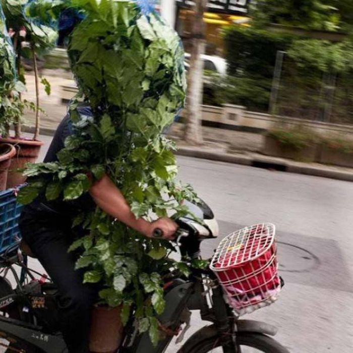 Nice Try But You're Definitely Doing It Wrong (44 pics)