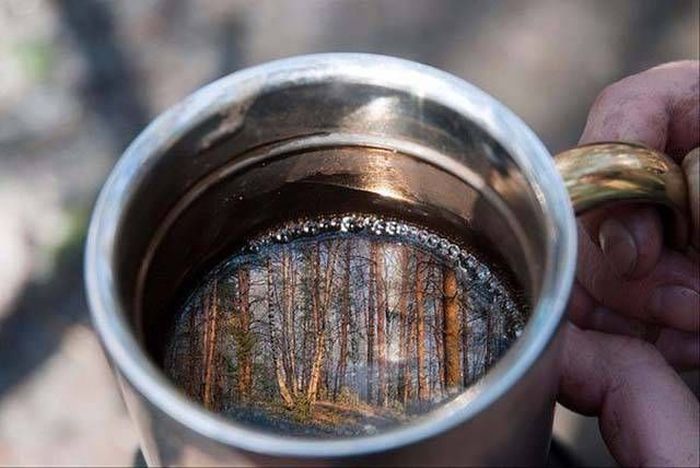 Loud Pictures That Say A Lot More Than Just A Thousand Words (40 pics)