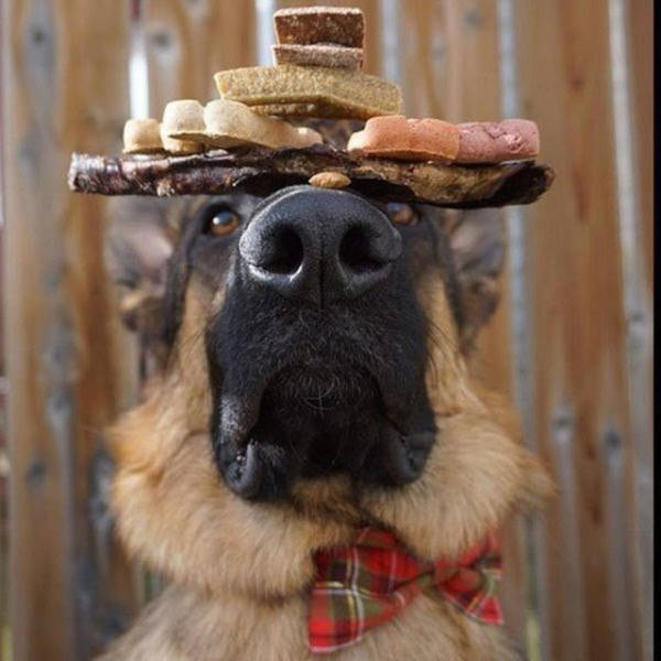 Loud Pictures That Say A Lot More Than Just A Thousand Words (40 pics)