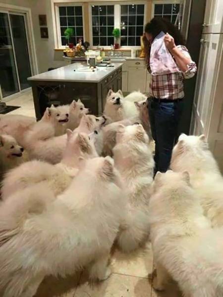 Loud Pictures That Say A Lot More Than Just A Thousand Words (40 pics)