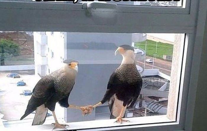 Loud Pictures That Say A Lot More Than Just A Thousand Words (40 pics)