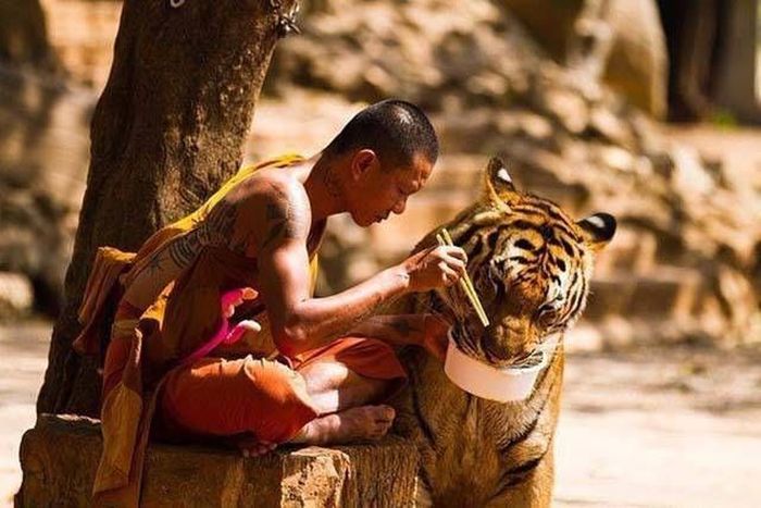 Loud Pictures That Say A Lot More Than Just A Thousand Words (40 pics)