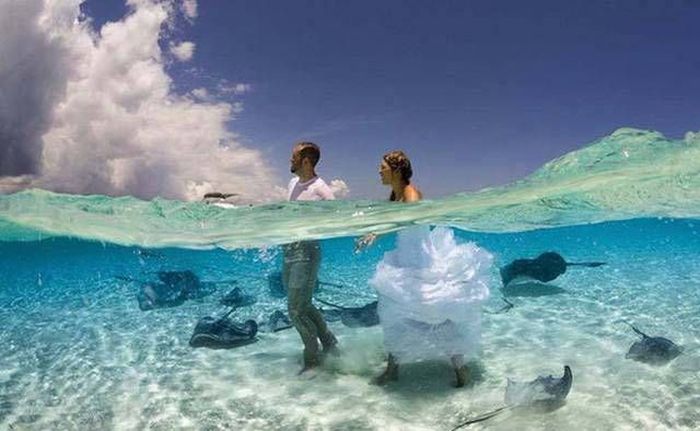 Loud Pictures That Say A Lot More Than Just A Thousand Words (40 pics)