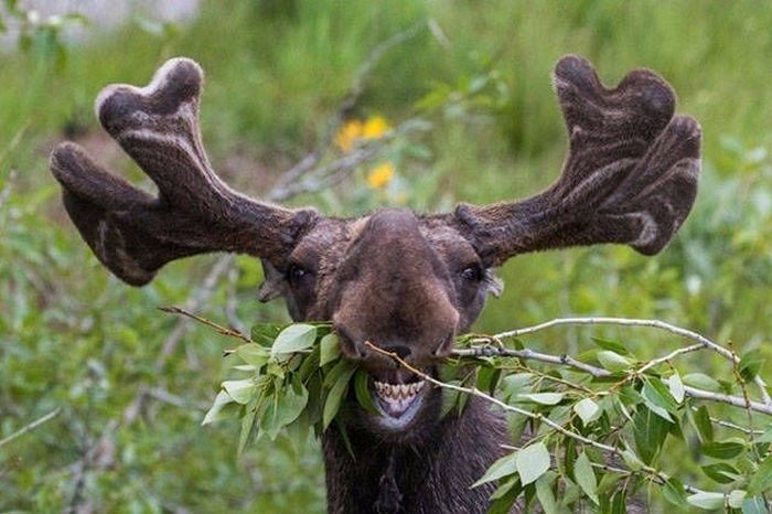 Loud Pictures That Say A Lot More Than Just A Thousand Words (40 pics)