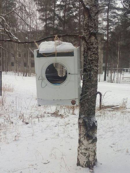 Russians Must Be Born Crazy (37 pics)